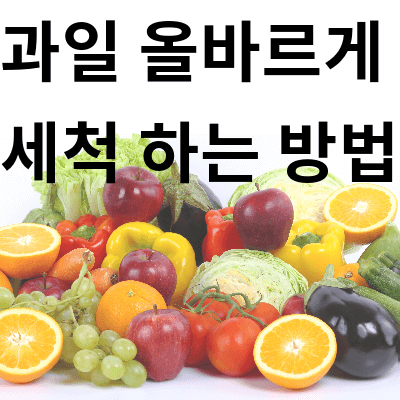 과일 세척 방법