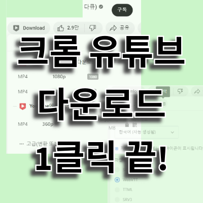 크롬 유튜브 다운로드