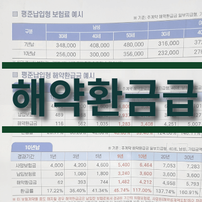 해약환금급에 대해서